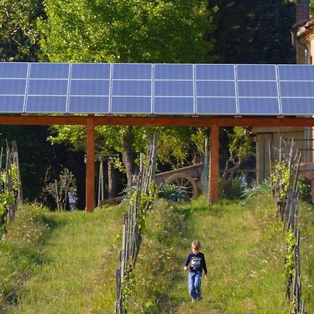 Agriturismo Le Volpaie Villa San Gimignano Eksteriør billede